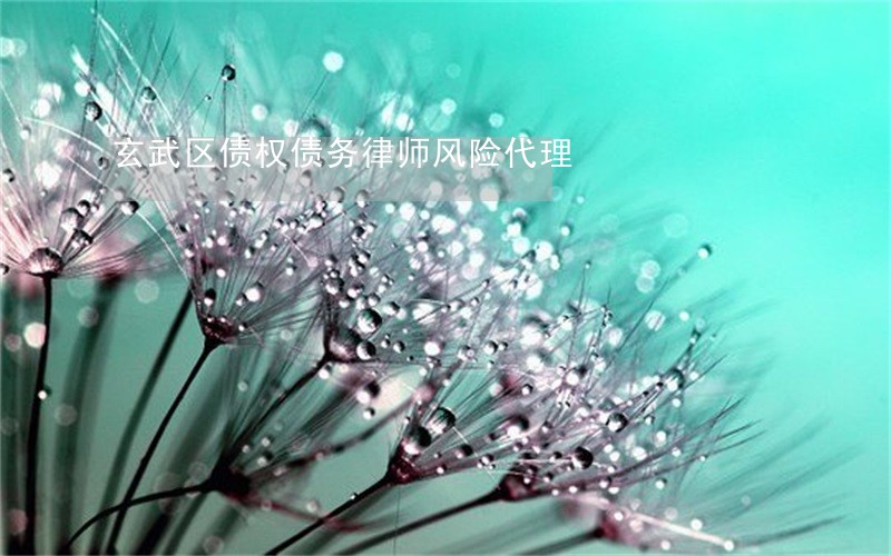 玄武区债权债务律师风险代理 玄武区债权债务律师风险代理