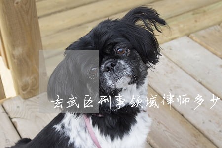 玄武区刑事领域律师多少钱 玄武区刑事领域律师多少钱