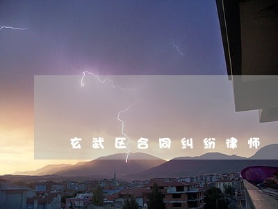 玄武区合同纠纷律师 玄武区合同纠纷律师