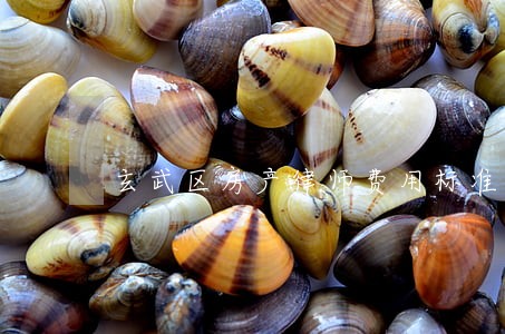 玄武区房产律师费用标准 玄武区房产律师费用标准