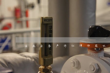 玄武区房产诉讼律师团队 玄武区房产诉讼律师团队