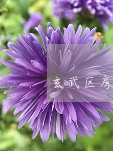 玄武区房地产律师哪家好 玄武区房地产律师哪家好