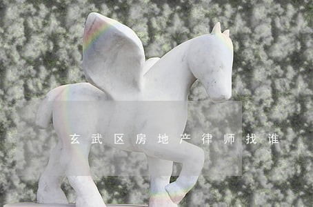 玄武区房地产律师找谁 玄武区房地产律师找谁