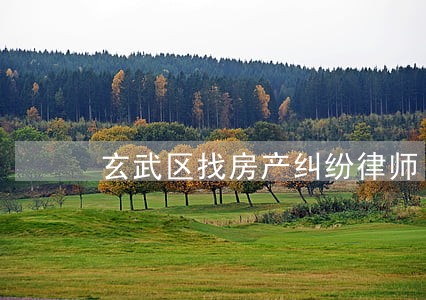 玄武区找房产纠纷律师 玄武区找房产纠纷律师