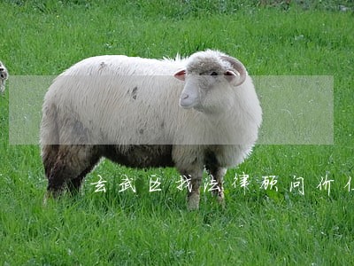 玄武区找法律顾问价位 玄武区找法律顾问价位