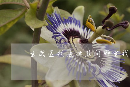玄武区找法律顾问哪里找 玄武区找法律顾问哪里找
