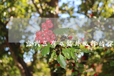 玄武区有办监外执行的律师吗 玄武区有办监外执行的律师吗
