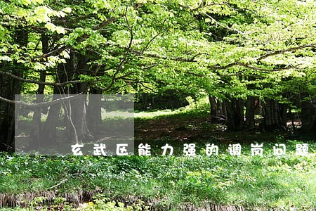 玄武区能力强的调岗问题咨询律师