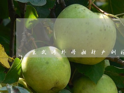 玄武涉外婚姻财产纠纷律师热线 玄武涉外婚姻财产纠纷律师热线