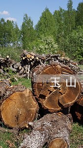 玉山县法律咨询热线 玉山县法律咨询热线