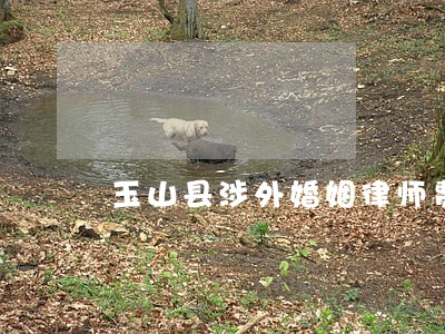 玉山县涉外婚姻律师费用多少 玉山县涉外婚姻律师费用多少