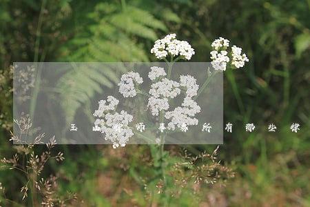 玉山律师事务所有那些律师 玉山律师事务所有那些律师