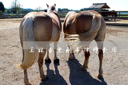 玉林专业刑事律师费用 玉林专业刑事律师费用