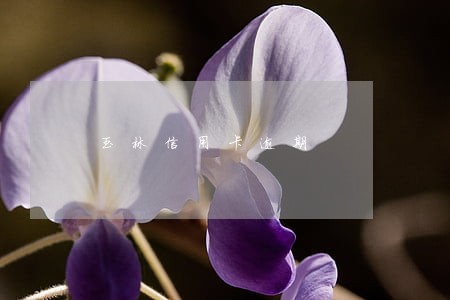 玉林信用卡逾期 玉林信用卡逾期