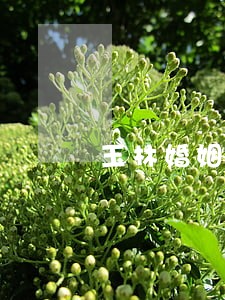 玉林婚姻法律咨询律师 玉林婚姻法律咨询律师