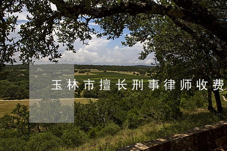 玉林市擅长刑事律师收费 玉林市擅长刑事律师收费