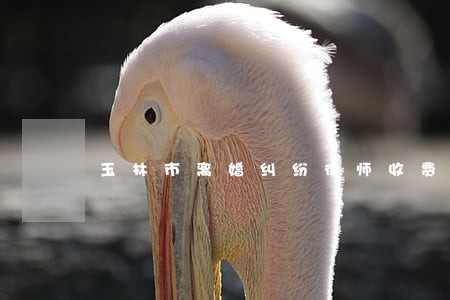 玉林市离婚纠纷律师收费蓄势待发 玉林市离婚纠纷律师收费蓄势待发