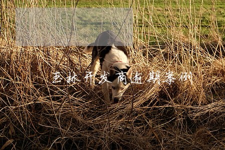 玉林开发商逾期案例 玉林开发商逾期案例