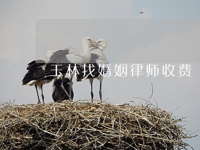 玉林找婚姻律师收费 玉林找婚姻律师收费
