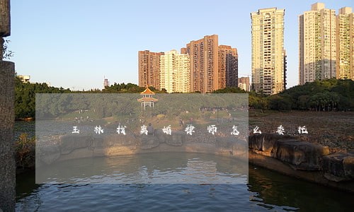 玉林找离婚律师怎么委托 玉林找离婚律师怎么委托