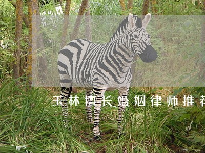 玉林擅长婚姻律师推荐 玉林擅长婚姻律师推荐
