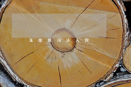 玉柴股司法人股
