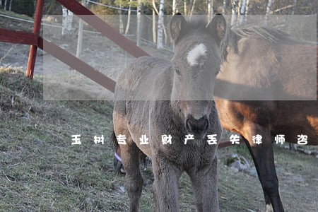 玉树专业财产丢失律师咨询 玉树专业财产丢失律师咨询