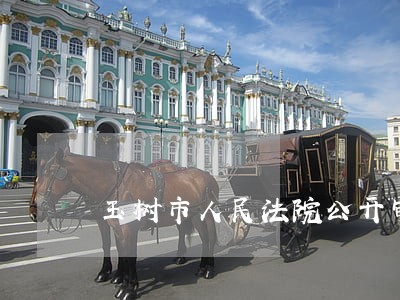 玉树市人民法院公开审理宣判