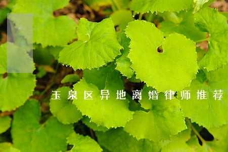 玉泉区异地离婚律师推荐 玉泉区异地离婚律师推荐