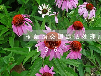 玉泉路交通违法处理/2023020367136 玉泉路交通违法处理/2023020367136