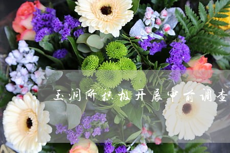 玉洞所积极开展审前调查工作 玉洞所积极开展审前调查工作