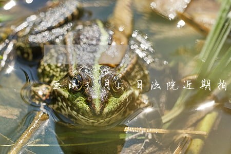 玉溪3月5日法院近期拍卖汽车