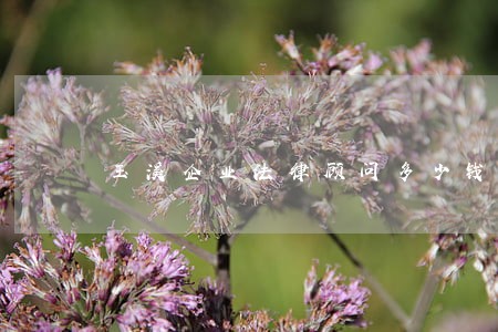玉溪企业法律顾问多少钱 玉溪企业法律顾问多少钱