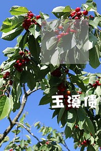 玉溪债务律师找谁好 玉溪债务律师找谁好
