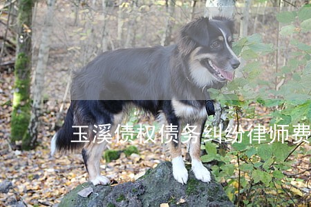 玉溪债权债务纠纷律师费用是多少 玉溪债权债务纠纷律师费用是多少