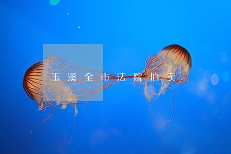 玉溪全市法院拍卖 玉溪全市法院拍卖
