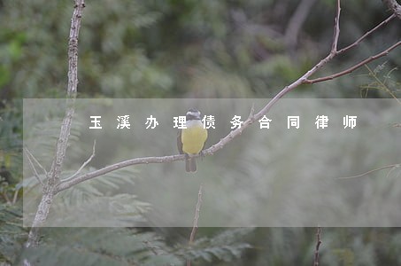 玉溪办理债务合同律师 玉溪办理债务合同律师