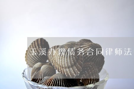 玉溪办理债务合同律师法律咨询 玉溪办理债务合同律师法律咨询