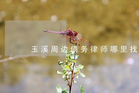 玉溪周边债务律师哪里找 玉溪周边债务律师哪里找
