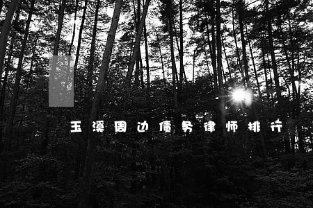 玉溪周边债务律师排行 玉溪周边债务律师排行