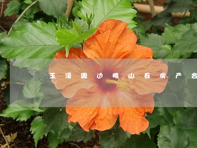 玉溪周边峨山县房产合同律师 玉溪周边峨山县房产合同律师