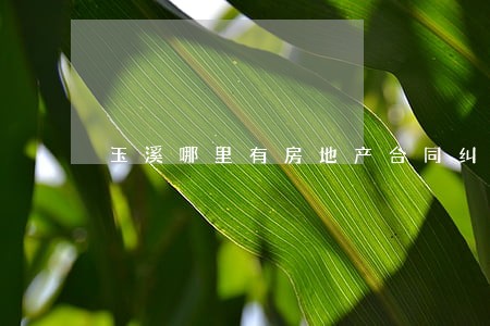 玉溪哪里有房地产合同纠纷案件 玉溪哪里有房地产合同纠纷案件