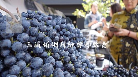 玉溪婚姻纠纷律师收费 玉溪婚姻纠纷律师收费
