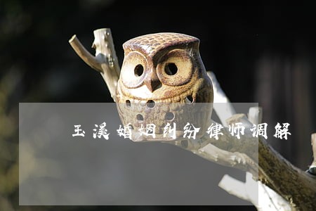 玉溪婚姻纠纷律师调解 玉溪婚姻纠纷律师调解