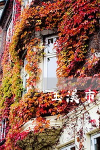 玉溪市债务咨询律师事务所 玉溪市债务咨询律师事务所