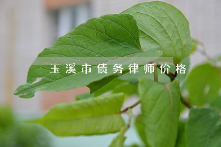 玉溪市债务律师价格 玉溪市债务律师价格