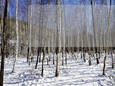 玉溪市精通债务合同律师免费咨询 玉溪市精通债务合同律师免费咨询