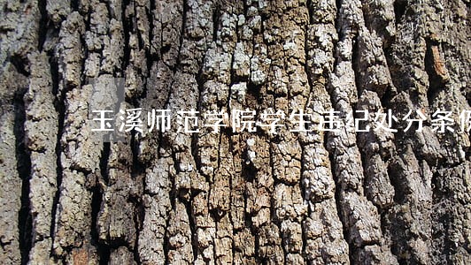 玉溪师范学院学生违纪处分条例 玉溪师范学院学生违纪处分条例