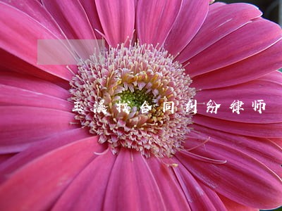 玉溪找合同纠纷律师 玉溪找合同纠纷律师
