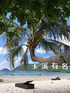 玉溪有名的法律顾问 玉溪有名的法律顾问